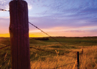 [Fields of Sandhills]